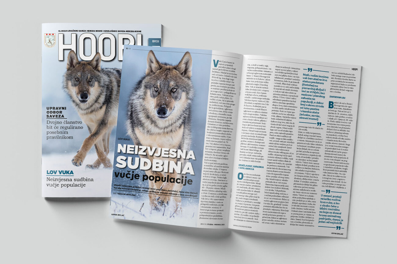 Tisak časopisa, štampa časopisa, Časopis HOOP!.